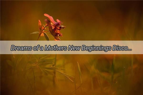 Dreams of a Mothers New Beginnings Discover the Heartwarming Tale of a Mom with Two More Children in Her Dreams